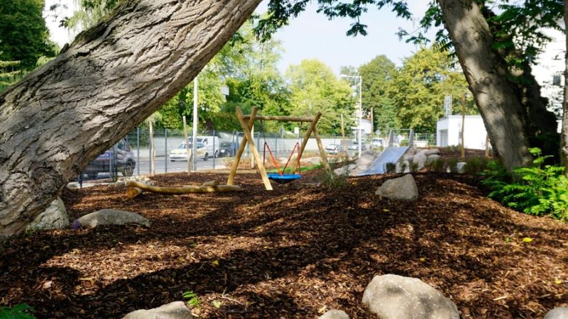 csm  DSC4385 edited 76458615cd