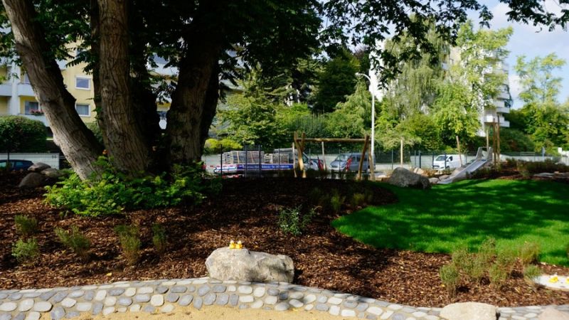 csm  DSC4380 edited 31a5485820