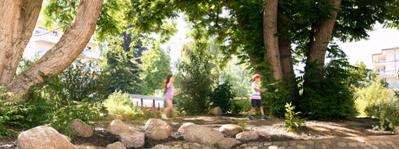 fluegelnuss 1 banner